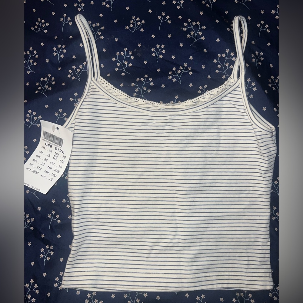 Brandy Melville Skylar Striped Lace Cami